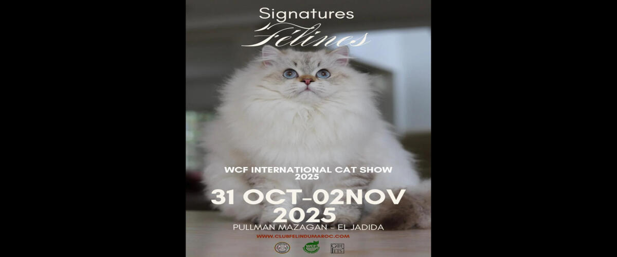 🌟 Historic First WCF Cat Show in Africa! 🌟