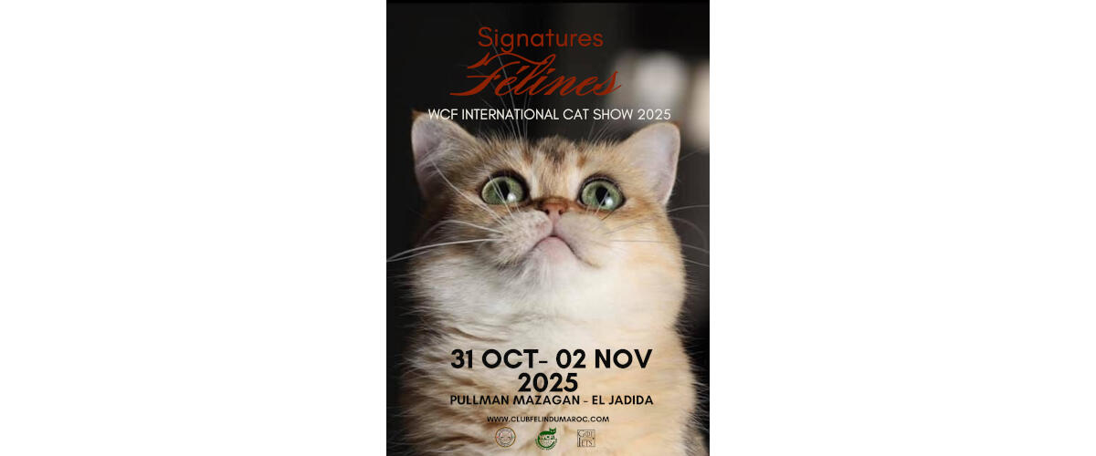 🌟 Historic First WCF Cat Show in Africa! 🌟